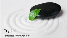  Presentation with white sand - PPT theme with garden pebble detail with green background and a white colored foreground