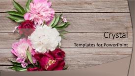  Presentation with peony - PPT layouts with garden peony flowers on wooden background and a coral colored foreground