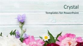  Presentation with peony - Amazing slide deck having garden peony flowers on wooden backdrop and a sky blue colored foreground