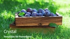  Presentation with rustic wood wooden frame - Slide set enhanced with garden plums in wooden box background and a forest green colored foreground