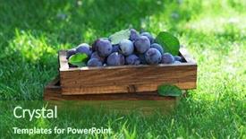  Presentation with rustic wood wooden frame - Beautiful PPT layouts featuring garden plums in wooden box backdrop and a forest green colored foreground