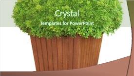  Presentation with garden - Beautiful theme featuring garden pot with lush bushes backdrop and a tawny brown colored foreground