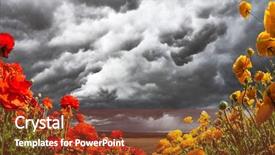 Presentation with blooming flower animated - Cool new presentation theme with garden red and yellow buttercups backdrop and a tawny brown colored foreground