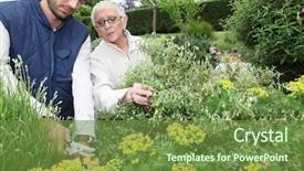  Presentation with older woman - PPT theme having garden services - young man gardening with older background and a tawny brown colored foreground
