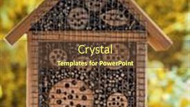  Presentation with garden - PPT theme with garden-shelter-for-wild-critters background and a tawny brown colored foreground