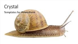  Presentation with moving forward - Slide deck with grunge painted tajikistan country hand making the v sign background and a mint green colored foreground