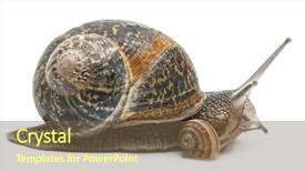  Presentation with jesus in the garden of getshame - Amazing PPT layouts having garden snail with its baby backdrop and a tawny brown colored foreground