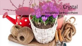  Presentation with garden tools - Amazing PPT theme having time implement - garden spring flowers crocus backdrop and a coral colored foreground