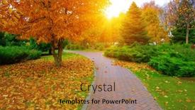  Presentation with path - Presentation theme having garden-stone-path-and-autumn background and a gold colored foreground