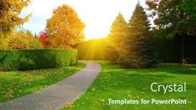  Presentation with path - PPT theme with garden-stone-path-on-green background and a tawny brown colored foreground