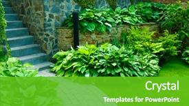 Presentation with botanical garden - PPT layouts consisting of garden stone path with grass background and a shamrock green colored foreground