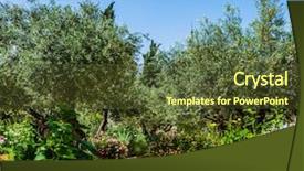  Presentation with gethsemane - Audience pleasing presentation theme consisting of garden the concept of historic backdrop and a tawny brown colored foreground