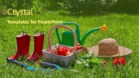  Presentation with greenhouse - Presentation theme featuring garden-tools-in-gardening background and a tawny brown colored foreground