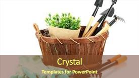  Presentation with garden tools - Slide set consisting of garden tools isolated on white background and a tawny brown colored foreground