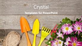  Presentation with garden tools - Cool new PPT theme with garden tools with flower on wooden table background with copy space focus on background backdrop and a gray colored foreground