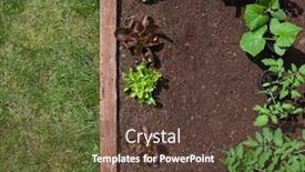  Presentation with healthy food - Slides enhanced with garden-vagetable-patch-background background and a tawny brown colored foreground