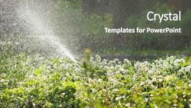  Presentation with irrigation - Presentation featuring garden watering huge amount background and a gray colored foreground