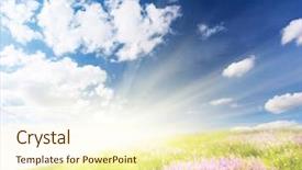  Presentation with beautiful green - Amazing PPT theme having garden wildlife - beautiful spring flower backdrop and a cream colored foreground