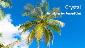  Presentation with trees - PPT theme enhanced with garden-wilds-copse-of-trees background and a teal colored foreground