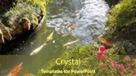  Presentation with garden pond - Presentation theme having garden-with-a-pond background and a tawny brown colored foreground