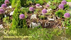  Presentation with persia - Beautiful presentation featuring garden with beautiful blooming kind backdrop and a  colored foreground