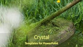  Presentation with weed - Cool new PPT layouts with garden with the weed backdrop and a tawny brown colored foreground