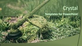  Presentation with weed - Slide deck featuring garden with the weed background and a tawny brown colored foreground