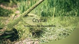  Presentation with weed - Theme consisting of garden with the weed background and a mint green colored foreground