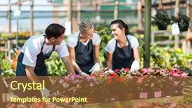  Presentation with nursery plant - Beautiful presentation theme featuring garden workers working in nursery backdrop and a tawny brown colored foreground