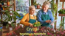  Presentation with inventory - Slide deck consisting of gardener-and-florist background and a tawny brown colored foreground