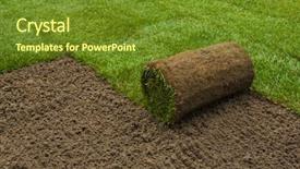  Presentation with roll - Audience pleasing slide set consisting of gardener applying turf rolls backdrop and a tawny brown colored foreground