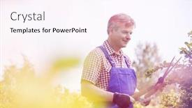  Presentation with nursery plant - Amazing presentation design having gardener-cutting-tree-branches backdrop and a pink colored foreground