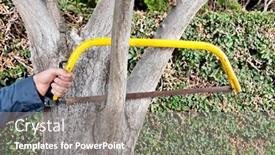  Presentation with ready - Amazing PPT theme having gardener-gets-ready-to-saw backdrop and a gray colored foreground