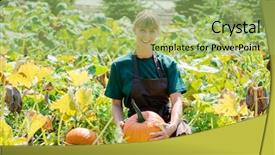 Presentation with housing market - Colorful presentation design enhanced with gardener growing pumpkins backdrop and a mint green colored foreground