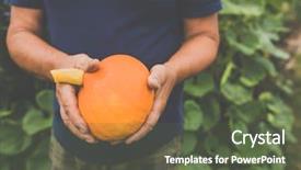 Presentation with organic - Amazing presentation having gardener holding a pumkin backdrop and a tawny brown colored foreground