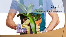  Presentation with plant nusery - Presentation theme having gardener holding paintbrush plant haemanthus background and a  colored foreground