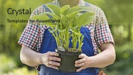  Presentation with nursery plant - Amazing slide deck having gardener holding potted plant backdrop and a yellow colored foreground