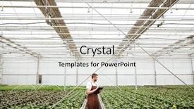  Presentation with apron - Colorful PPT layouts enhanced with gardener in apron holding folder backdrop and a light gray colored foreground