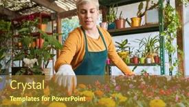  Presentation with nursery - Slides with gardener-or-florist-caring background and a tawny brown colored foreground