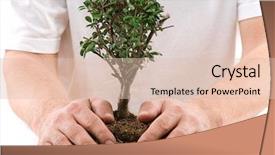  Presentation with tree planting - Theme with gardener planting a tree background and a lemonade colored foreground