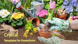  Presentation with dirt flower - Theme featuring gardener planting flowers in pot background and a  colored foreground