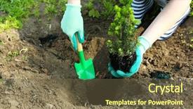 Presentation with tree planting - Slide deck having gardener planting tree in spring background and a tawny brown colored foreground