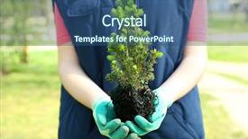  Presentation with tree planting - Presentation design enhanced with gardener planting tree in spring background and a  colored foreground