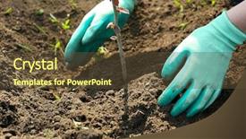  Presentation with tree planting - Presentation consisting of gardener planting tree in spring background and a  colored foreground