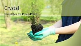  Presentation with tree planting - Audience pleasing presentation design consisting of gardener planting tree in spring backdrop and a yellow colored foreground