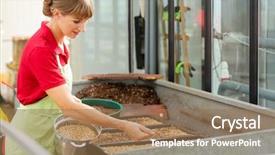  Presentation with nursery newborn child mom nursing - Amazing slide set having gardener sowing wheatgrass in nursery backdrop and a coral colored foreground