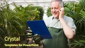  Presentation with talking on phone - PPT theme having gardener talking on the phone background and a tawny brown colored foreground