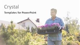  Presentation with flower pots - PPT layouts with gardener-walking-while-carrying-crate background and a white colored foreground