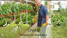  Presentation with nursery plant - Slide deck having gardener watering plants in nursery background and a yellow colored foreground