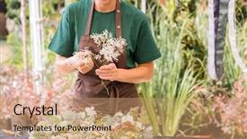  Presentation with events and decoration presentation - Slide set with gardener woman creating grave decoration background and a coral colored foreground